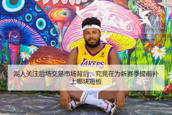 湖人关注后场交易市场背后，究竟在为新赛季提前补上哪块短板